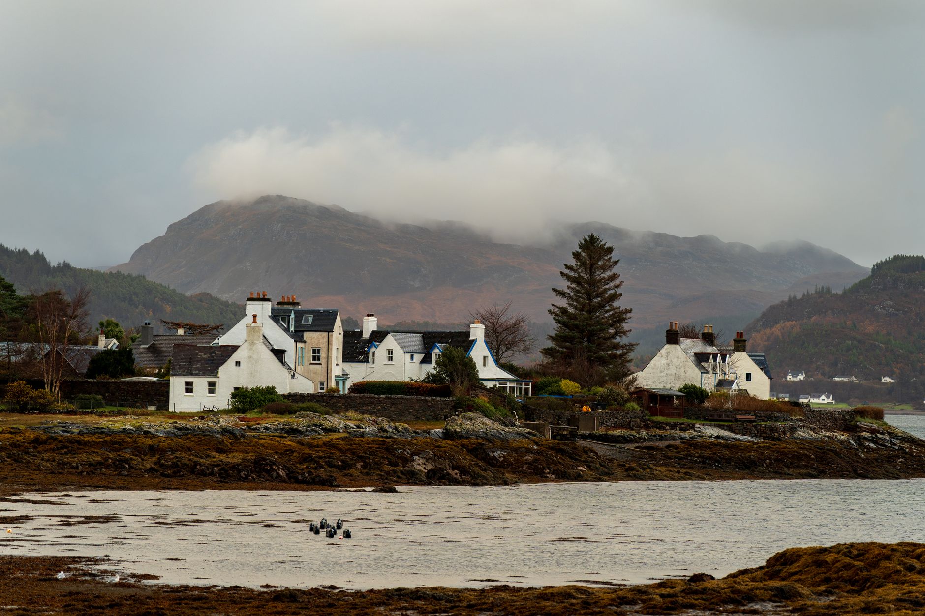 Scottish Highlands Landscape